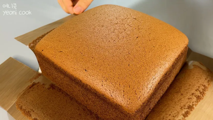 Cocoa Castella Cake