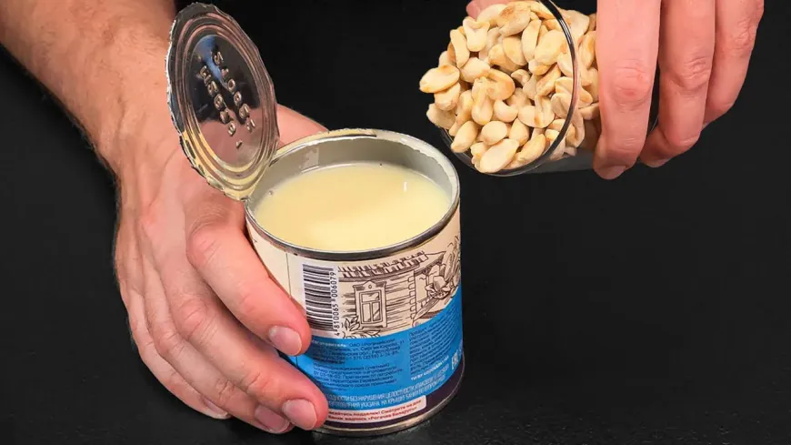 Peanut Condensed Milk Chocolate Dessert